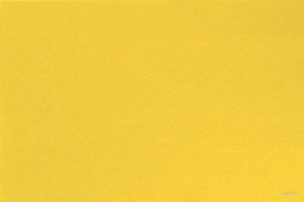 FL004 Wollfilz 1mm, 20x30cm gelb